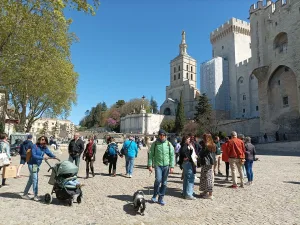 Guided tour in Avignon, Romain Bouchaud