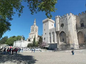 Tour to Avignon, Romain Bouchaud