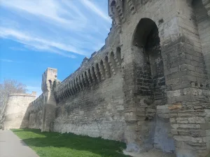 Wycieczka do Awinionu, Romain Bouchaud