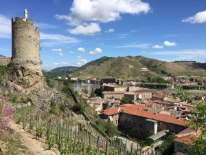 Guided tour in Tournon-sur-Rhône, Romain Bouchaud