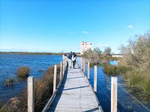 Guided tour in Aigues-Mortes, Romain Bouchaud