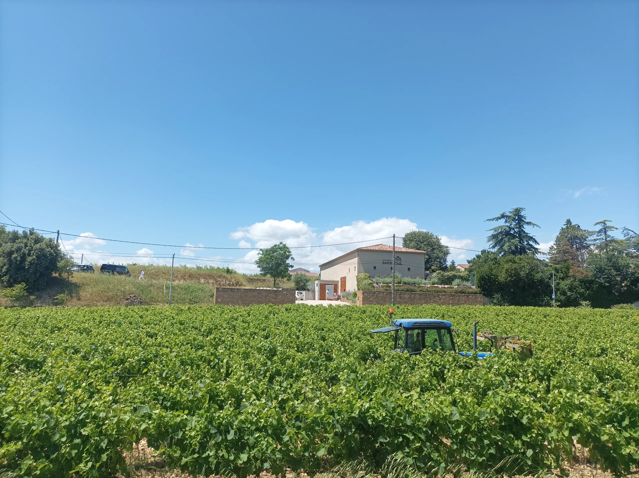 Wine tour in Châteauneuf-du-Pape, Romain Bouchaud