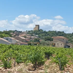 Châteauneuf du Pape