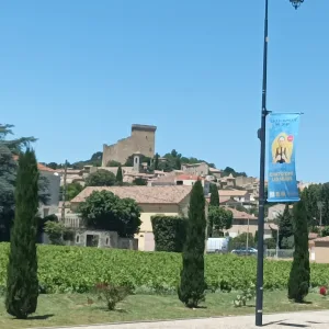 Wycieczka po winnicach w Châteauneuf-du-Pape, Romain Bouchaud