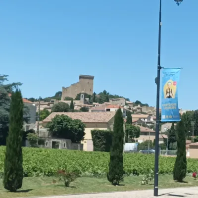 Wine tour in Châteauneuf-du-Pape, Romain Bouchaud