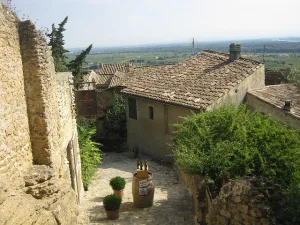 Wine tour in Châteauneuf-du-Pape