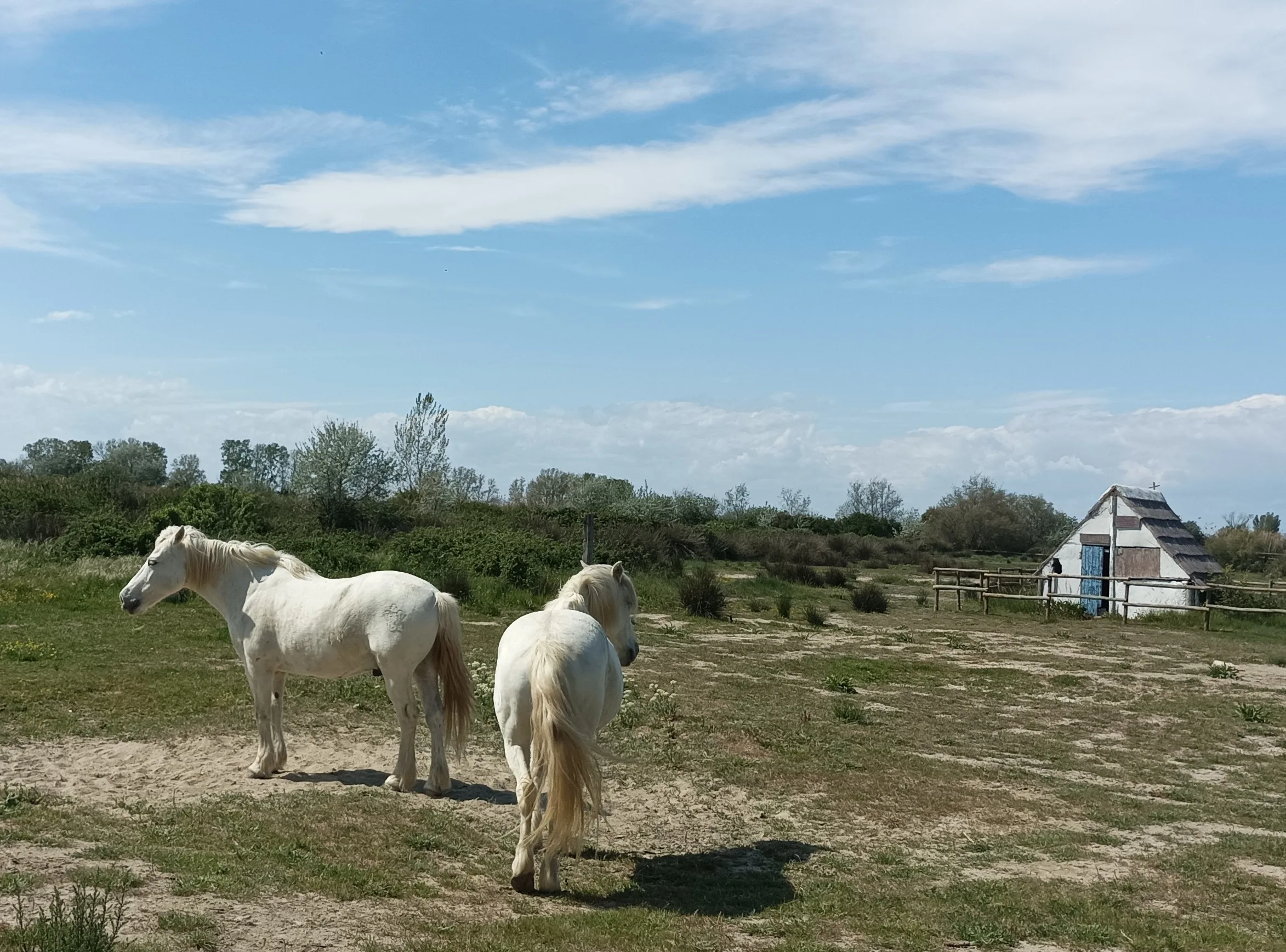 Tour in Camargue, Romain Bouchaud