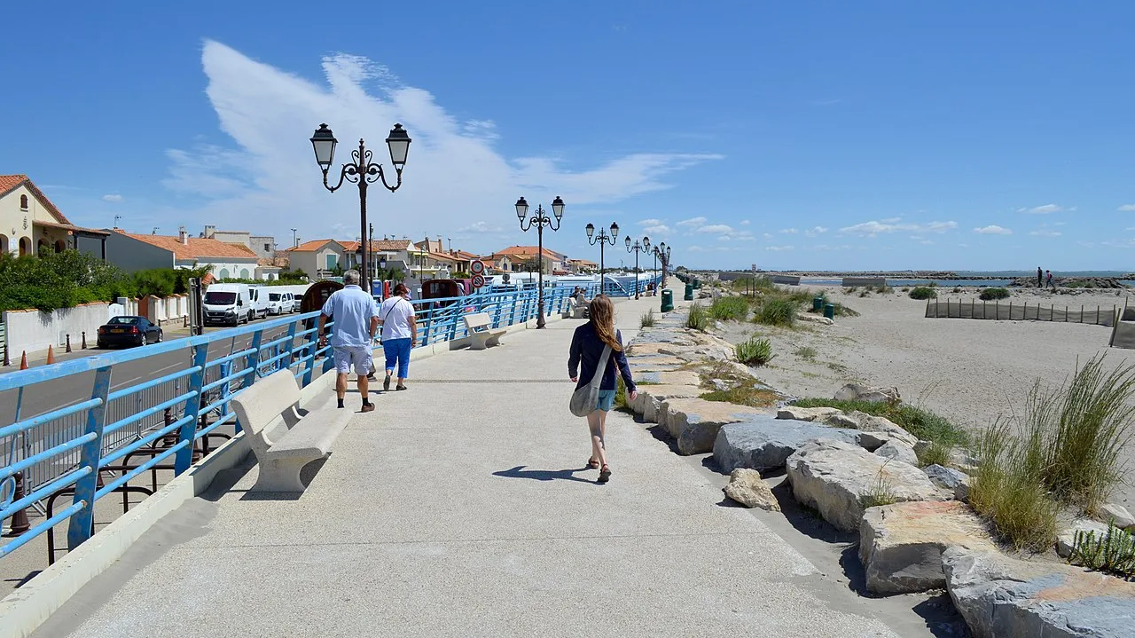 Private tour in Camargue - 8 hours - Image 7