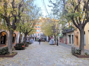 Guided tour in Grasse, Romain Bouchaud