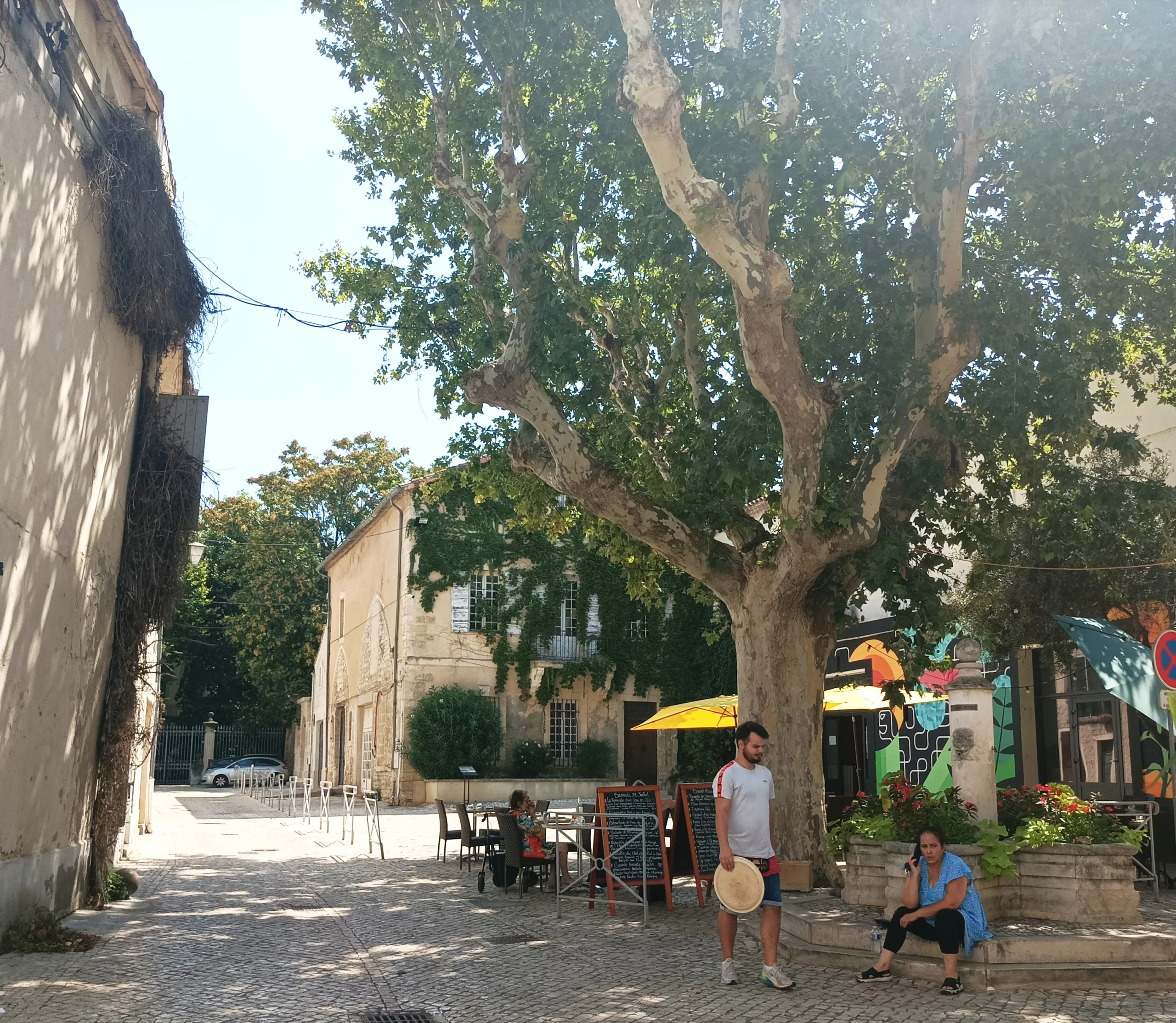 Guided tour in Tarascon